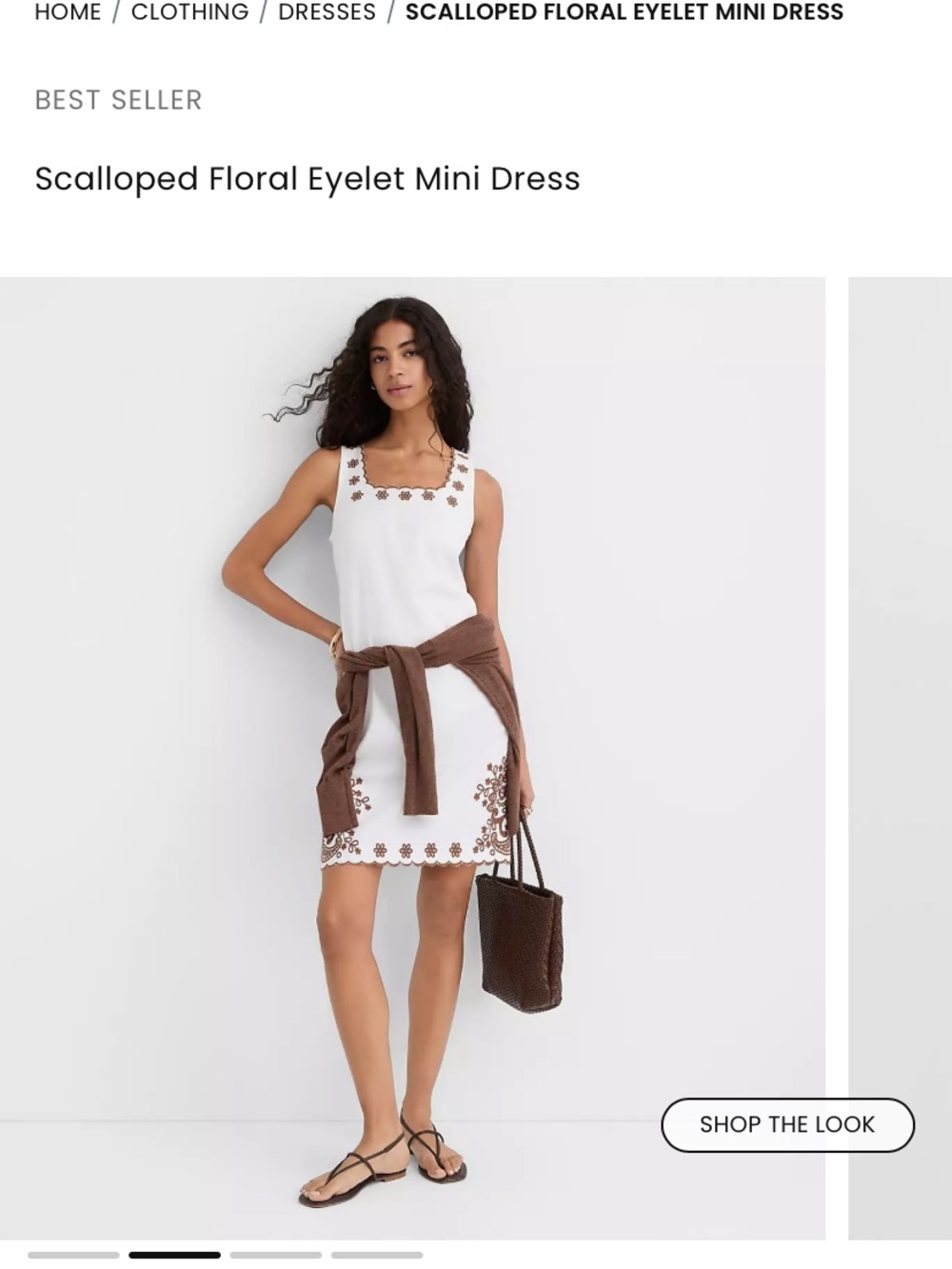 LOFT White Mini Dress with Brown Floral Eyelet Trim